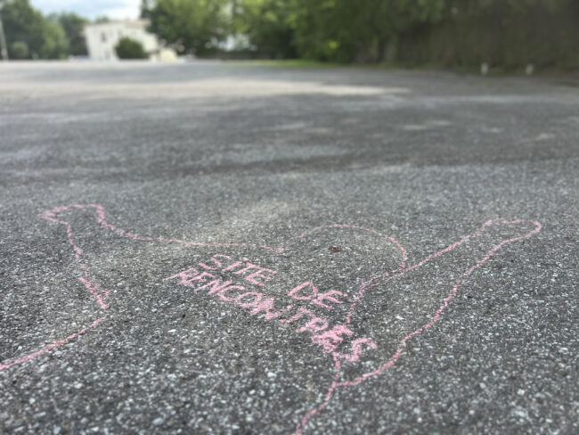 Projet Lampyridæ ((2019-2020)2022-)